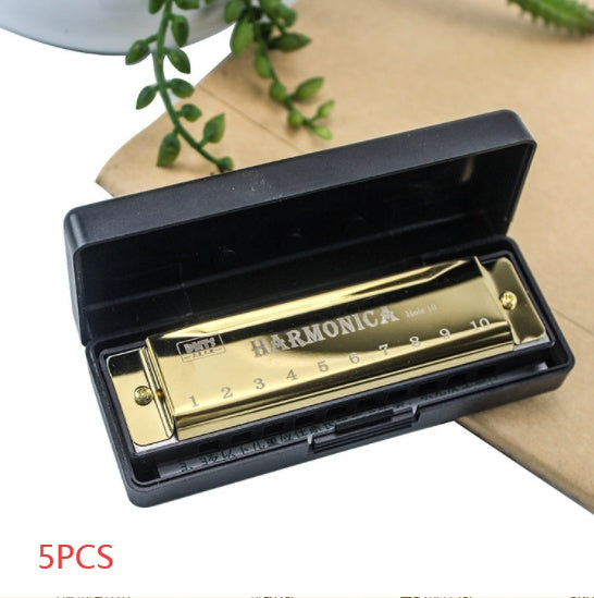 Musical Instrument Educational Toy - Primary School Children