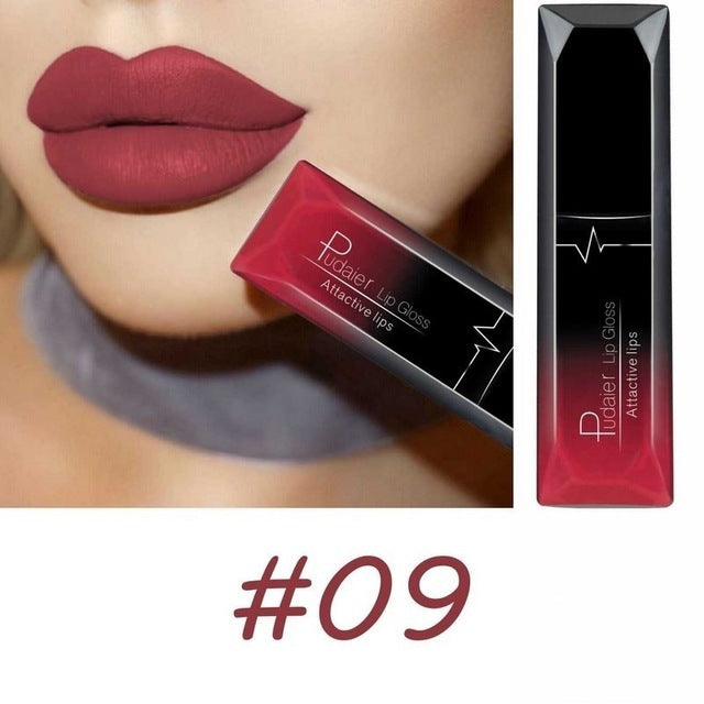 Matte Lip Gloss Lipstick Makeup