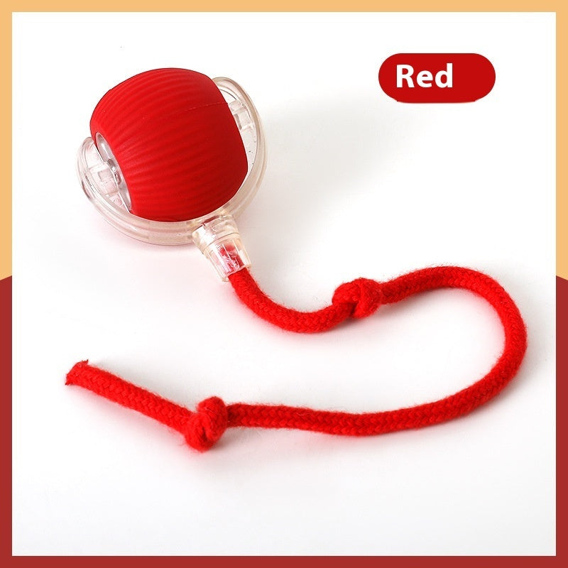 Interactive Cat Toy Ball Super Drive Cat Rolling Ball - JumoShop