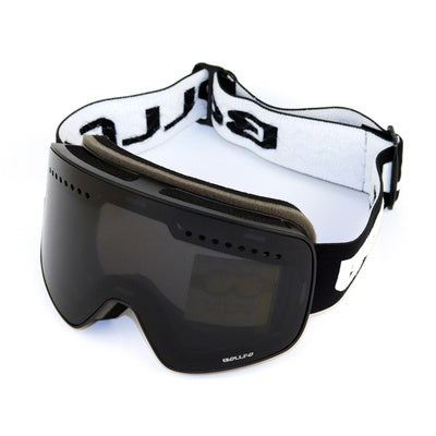 Double Ski Goggles