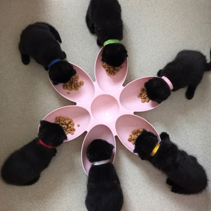 Multiple Feeding Bowl - Pet dinner plate