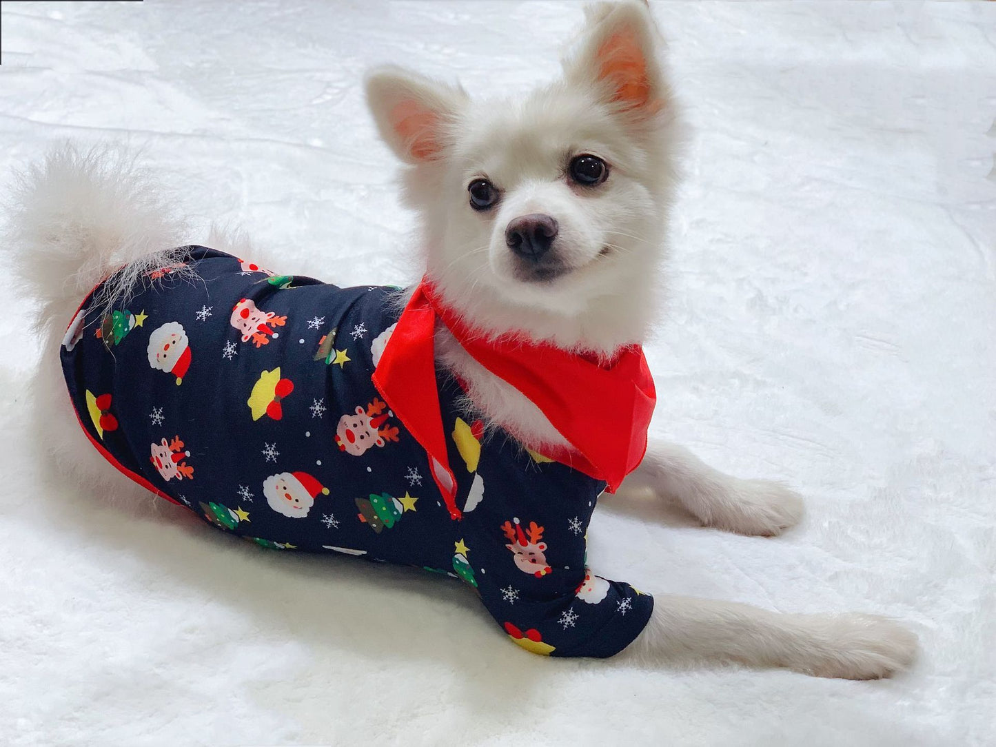 Family Christmas Matching Pajamas Set - Christmas Pajamas For Family Christmas PJS Xmas Sleepwear