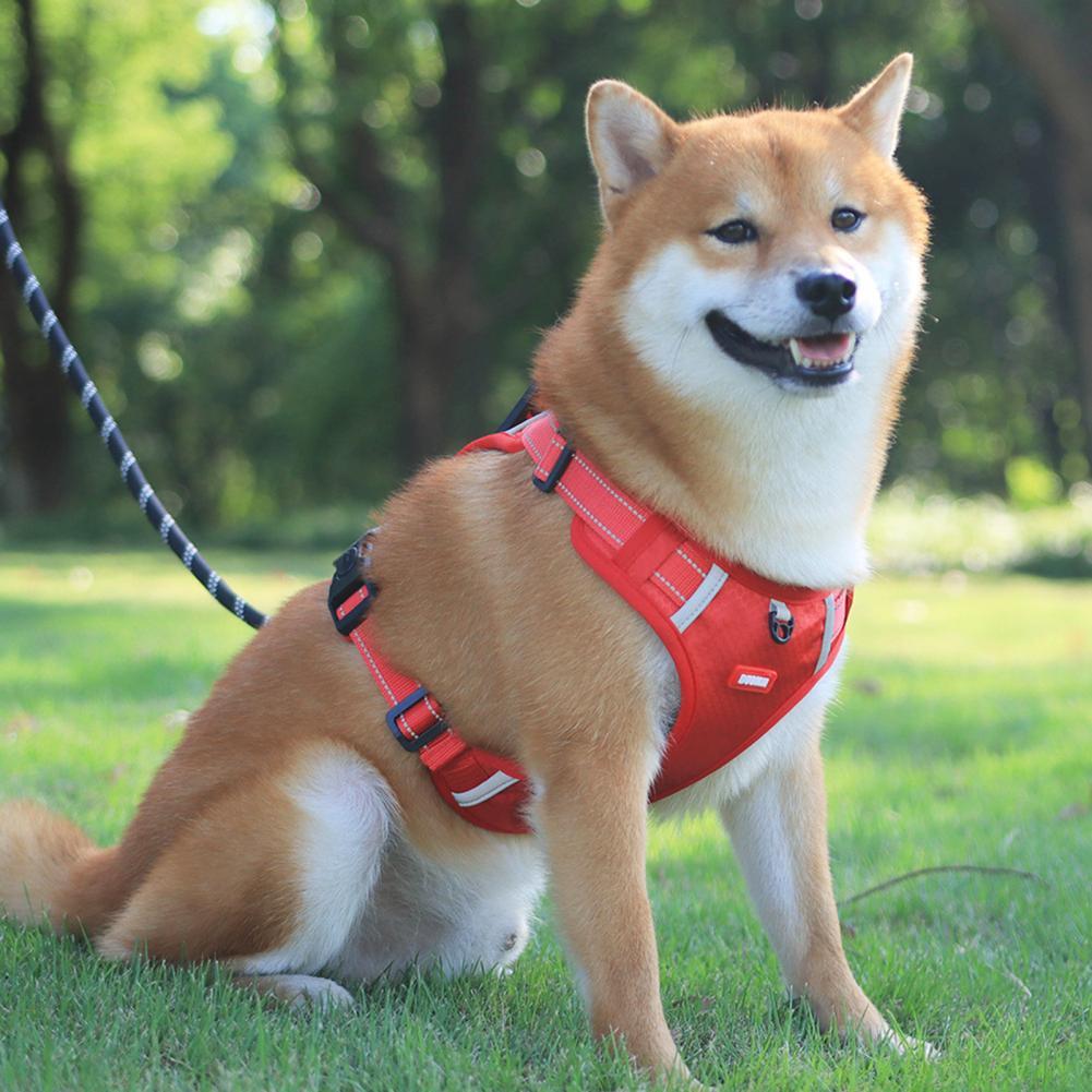 Nylon Dog Harness No Pull Breathable Reflective Pet Harness Vest For Small Large Dog Outdoor Running Dogs Training Accessories - JumoShop