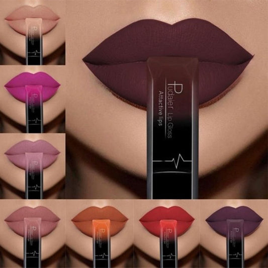 Matte Lip Gloss Lipstick Makeup
