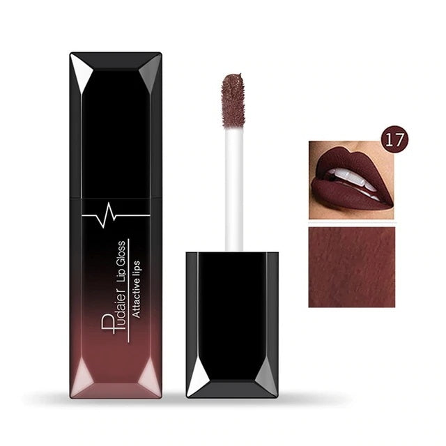 Matte Lip Gloss Lipstick Makeup