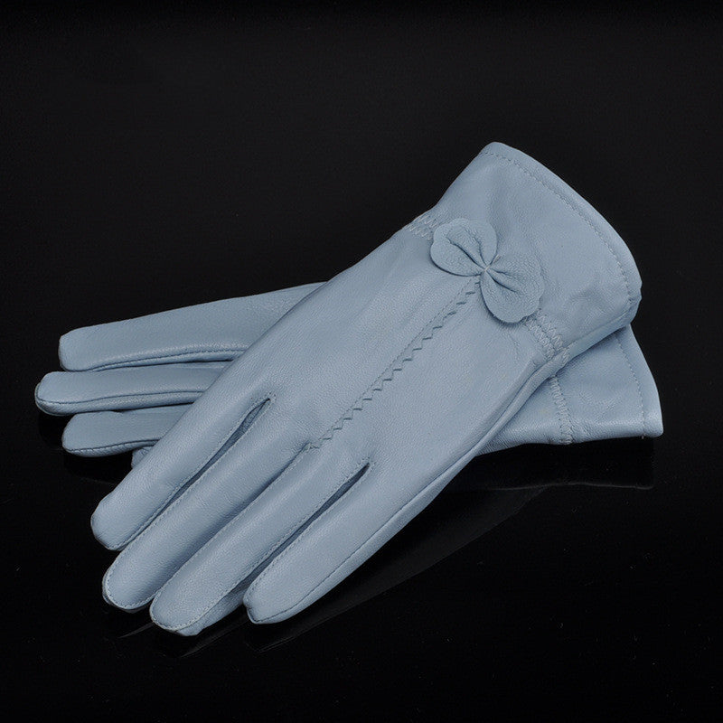 Women Gloves