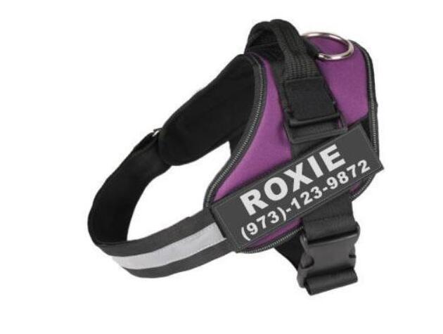 Custom No-Pull Reflective Dog Harness – Personalized Breathable Adjustable Pet Vest for Small & Large Dogs