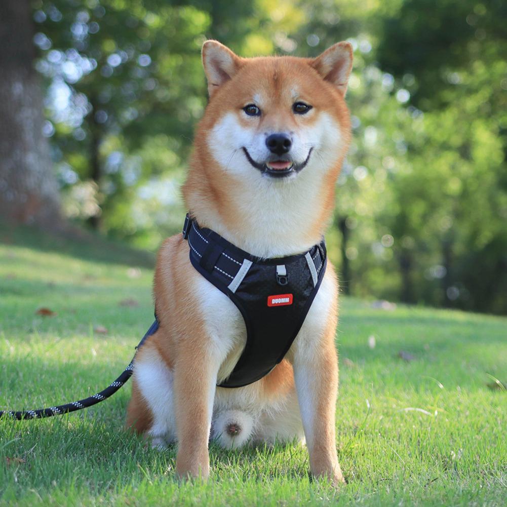 Nylon Dog Harness No Pull Breathable Reflective Pet Harness Vest For Small Large Dog Outdoor Running Dogs Training Accessories - JumoShop